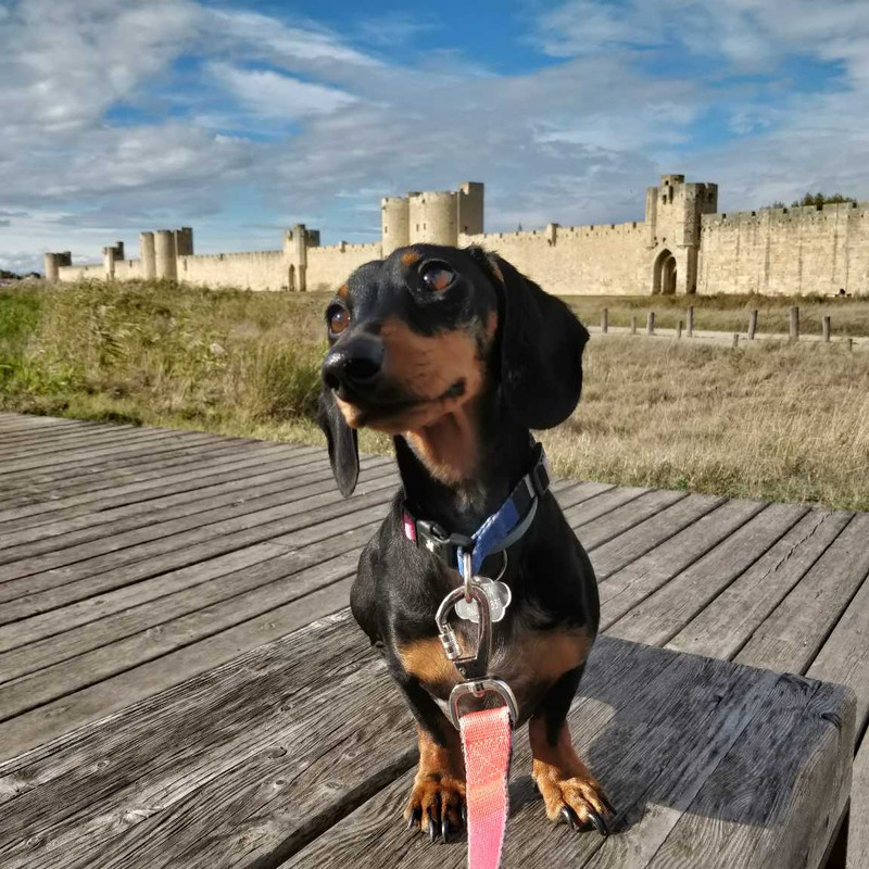 [Image: image000002-23.jpg]