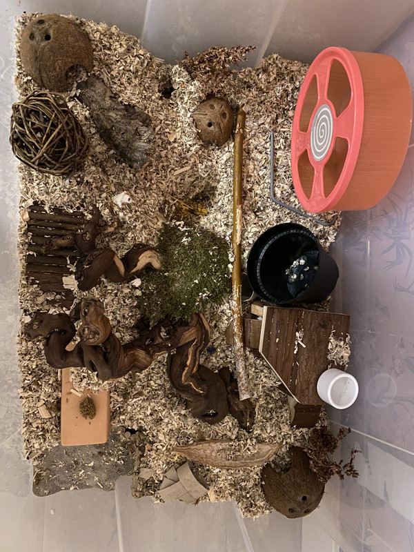 54023CCF-12B6-4E19-A4DD-69C89A486222