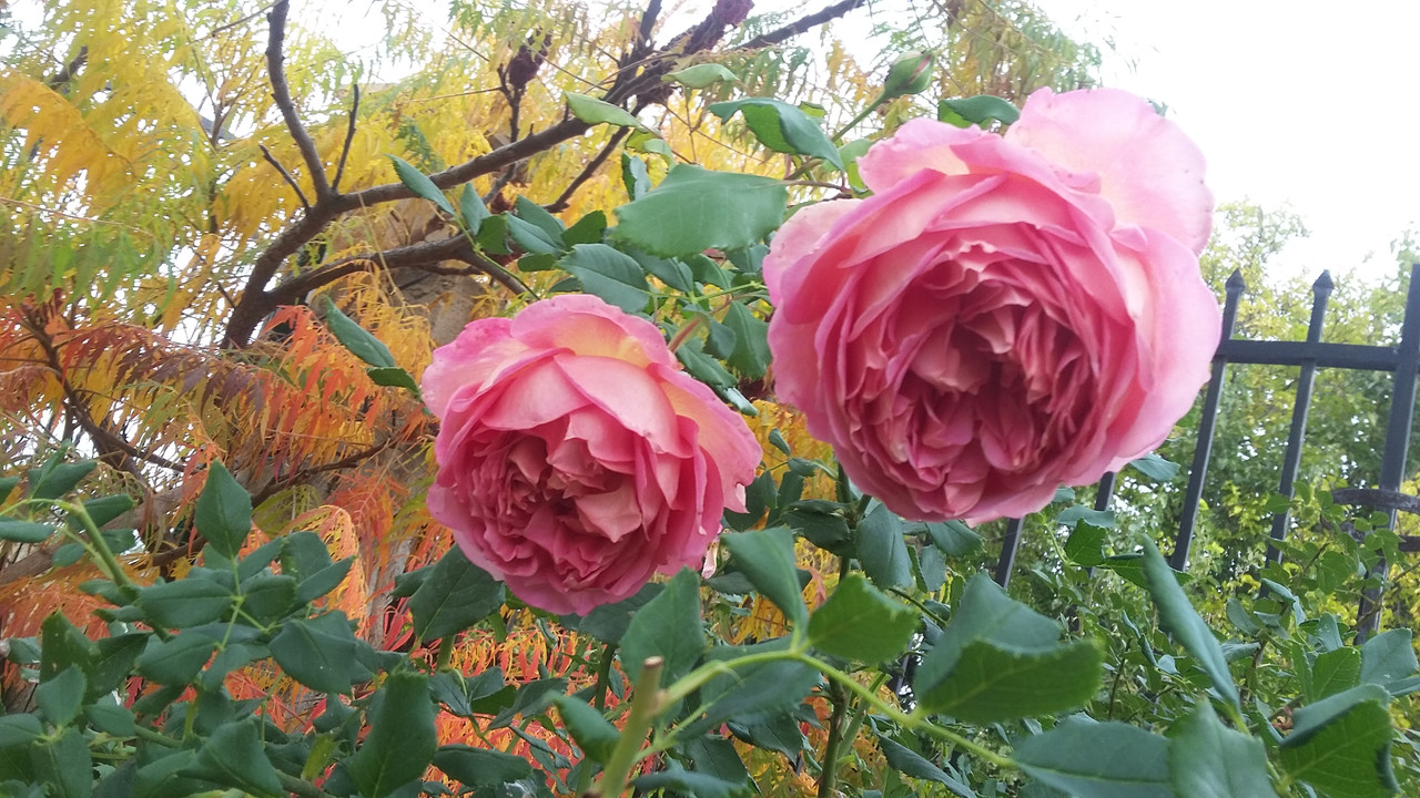 20191102_103703