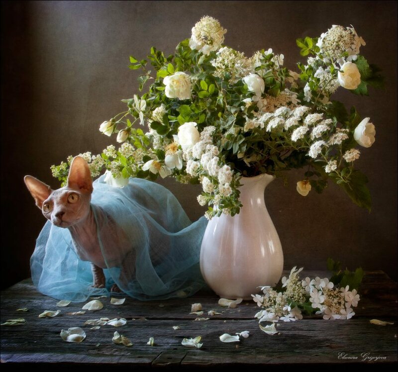 Son-v-letnuu-lunnuu-noc'2