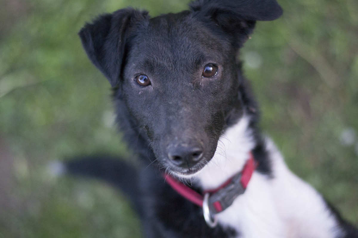 Дакота_06_18_21