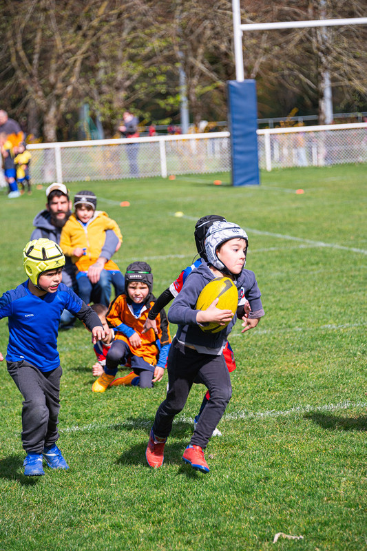 tournoi-de-latlantique-2026-adonis-griffon-134-55181456183-l