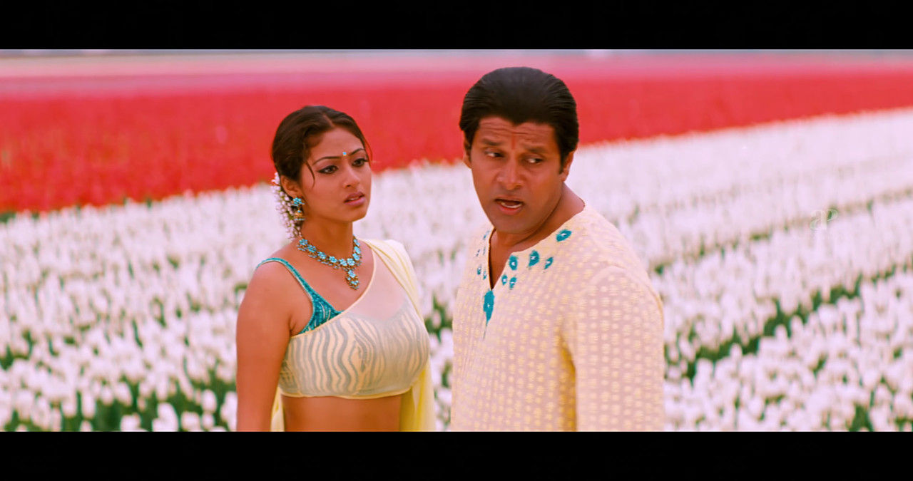 VideoCapture_20241122-195733