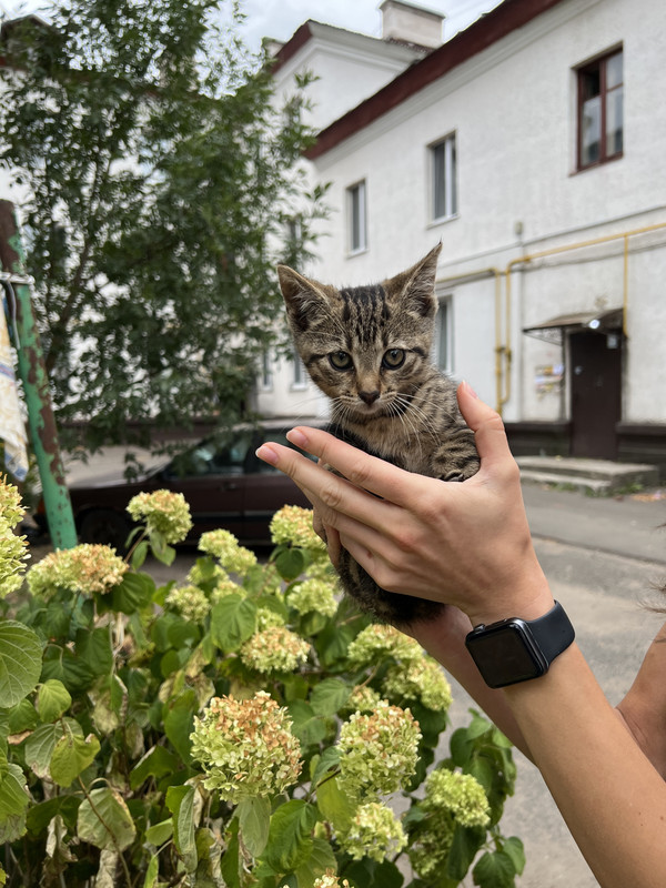 4FE00A91-78ED-4F44-A2D2-3CE4A50A89FE