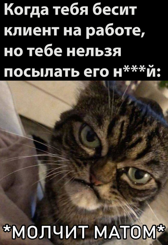 Screenshot-2021-10-20-21-55-39-25-68e74cc0265513bba3f4cf8e2c9891fe.jpg