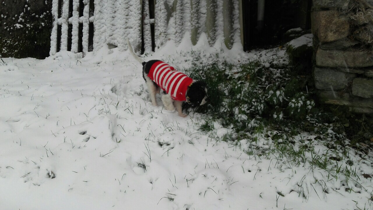 D9211D76-1001-487D-9A5C-8D93CEBDE279