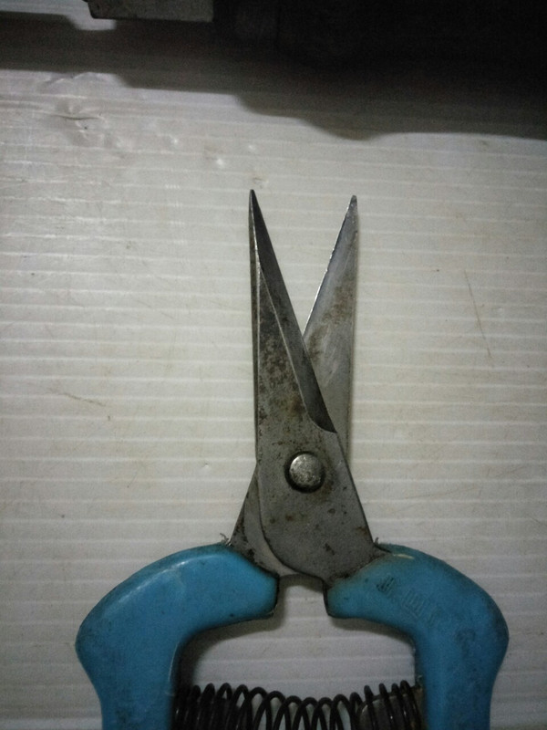 เครื่องมือช่างjapan รายละเอียดราคาตามภาพ_210801_71