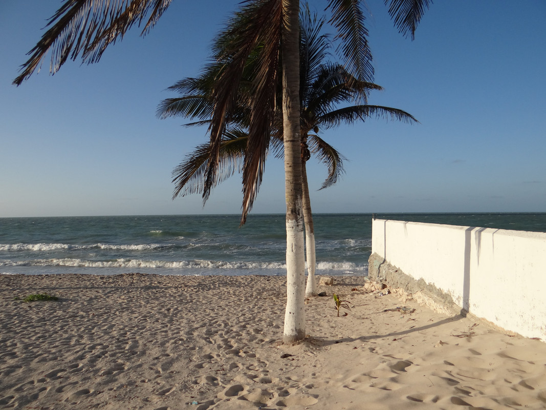 Un día en la playa en la tarde  - 1