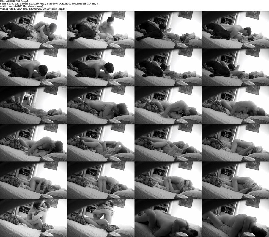 19052024080425screenshot