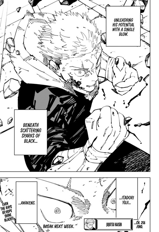 Jujutsu Kaisen - Chapter 256_ The Decisive Battle In The Uninhabited, Demon-Infested Shinjuku ㉘ - 20