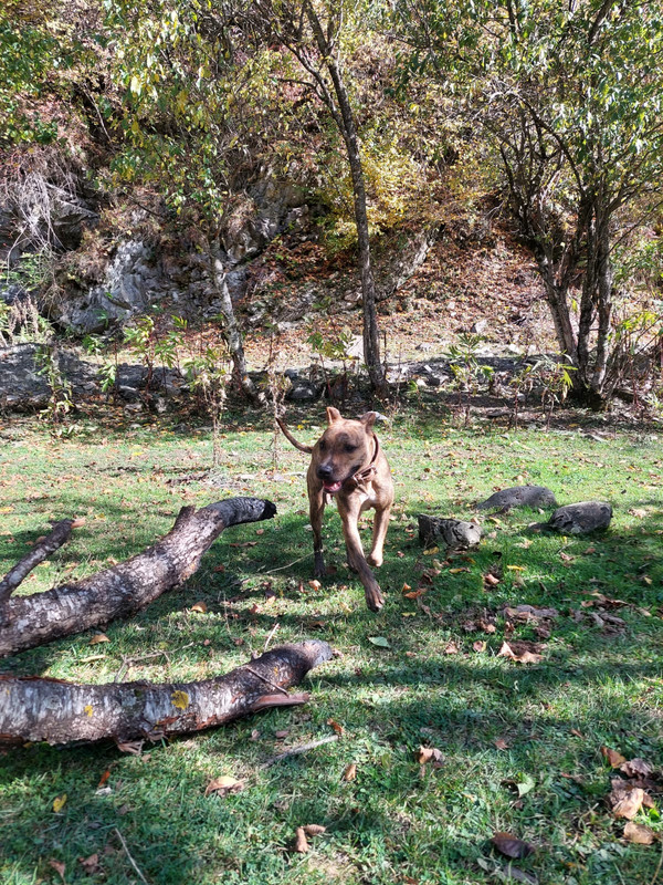 94392C7E-D9A6-4A94-A9E6-4912428566D7