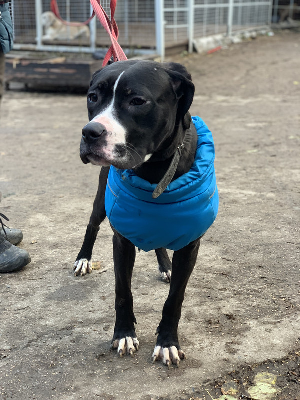 81328D0C-E71A-4E65-9649-4BB23B3AE9D5