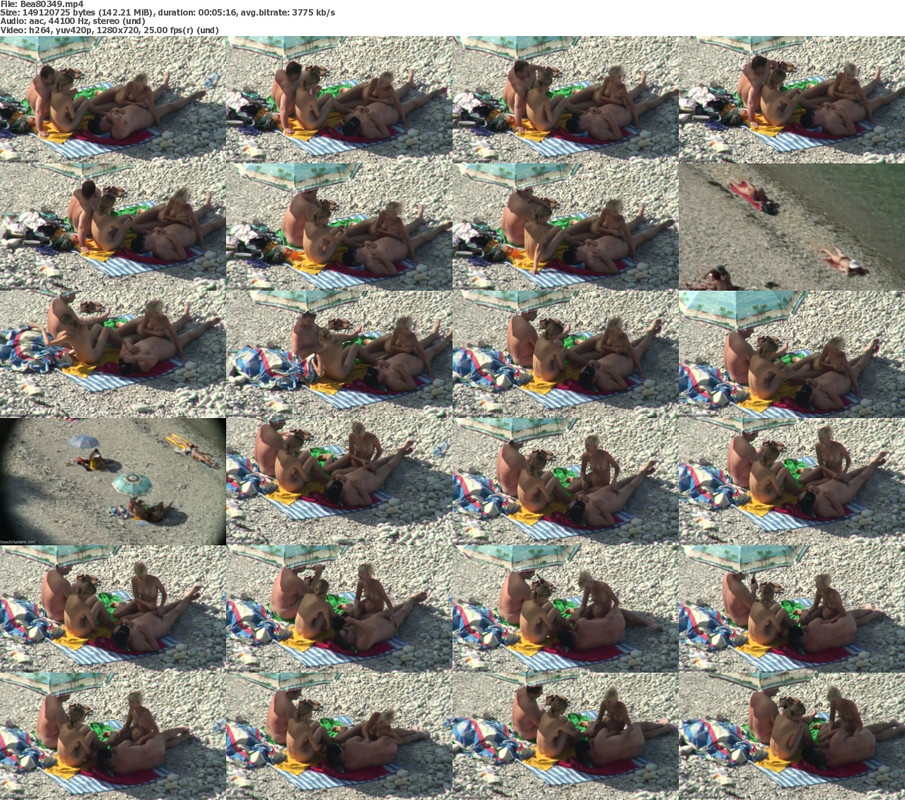24112024090259screenshot
