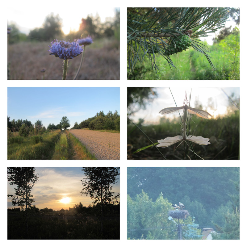 hejhohejhodobockowsieszlo