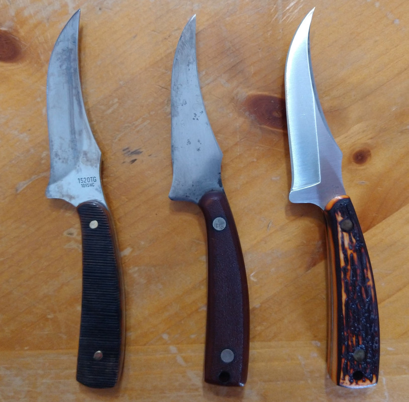 IMG_20230114_101256203 (1)