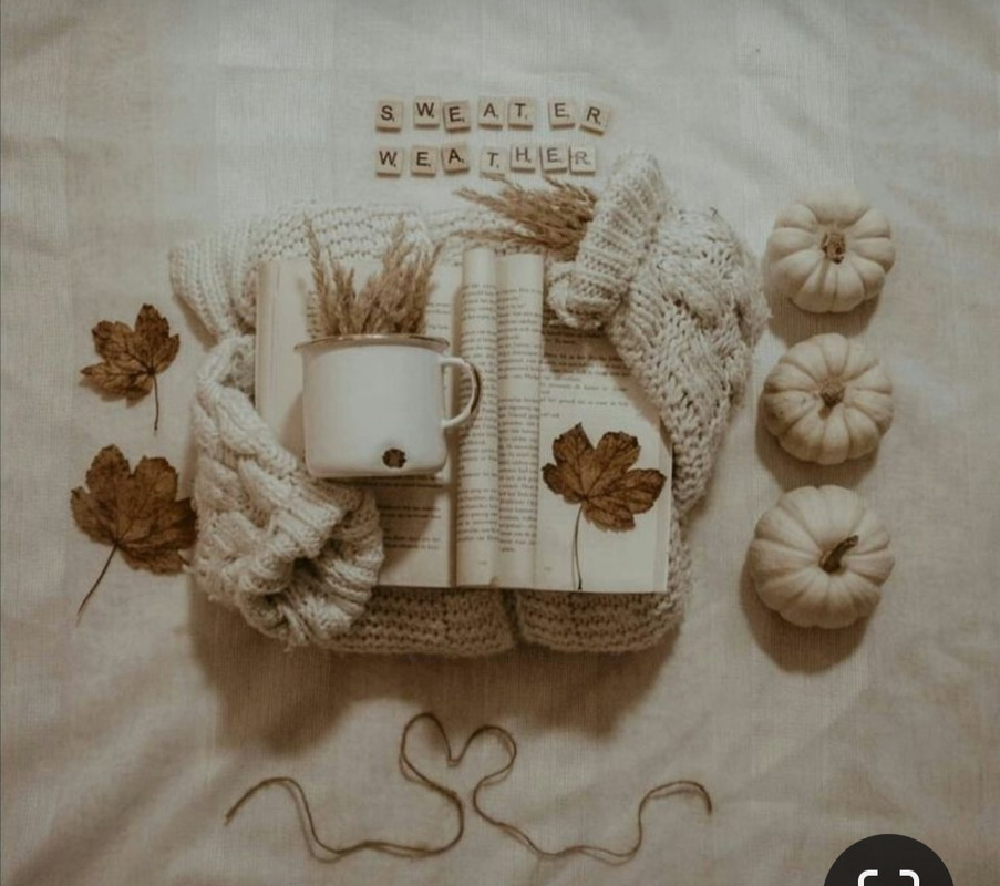 Screenshot_20240104_224330_Pinterest