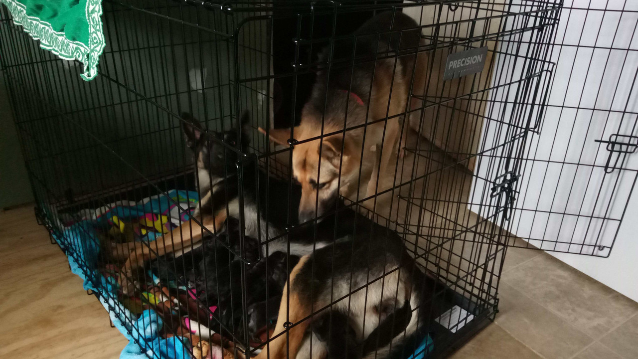 2958964D-BC88-4C06-B7C4-35E205DC7EFF