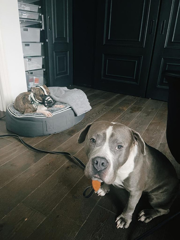 88B6C93E-361B-49A2-9693-2DC634CFDAEA