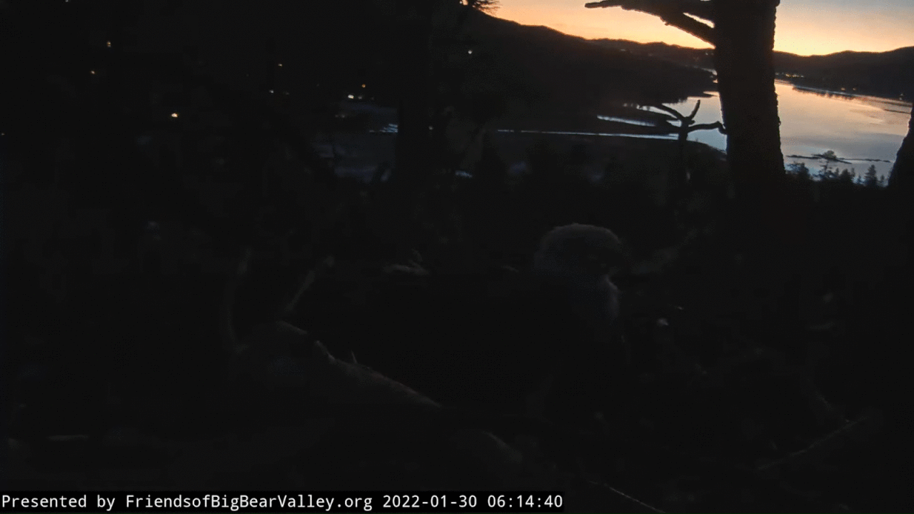 Webp.net-gifmaker (5)