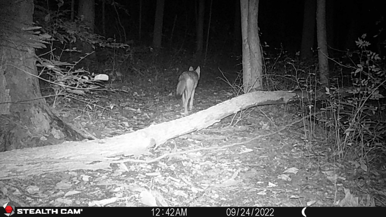 Resized_STC_0491_35919179556244