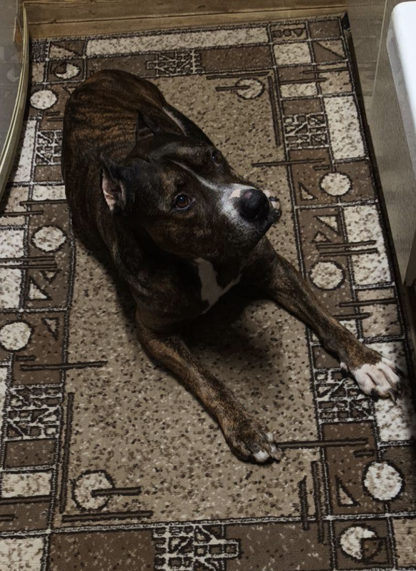 Снимок экрана 2025-01-27 в 23.17.42