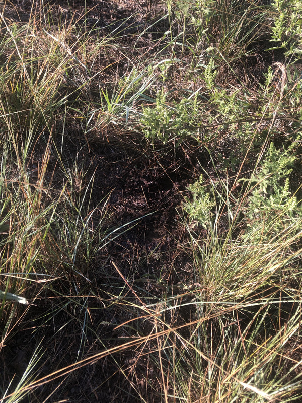 LB7M5CrqQJ6%2tdh5qwgpA