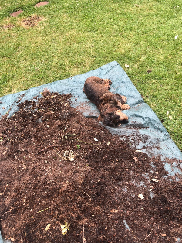 [Image: IMG-20240709-WA0006.jpg]