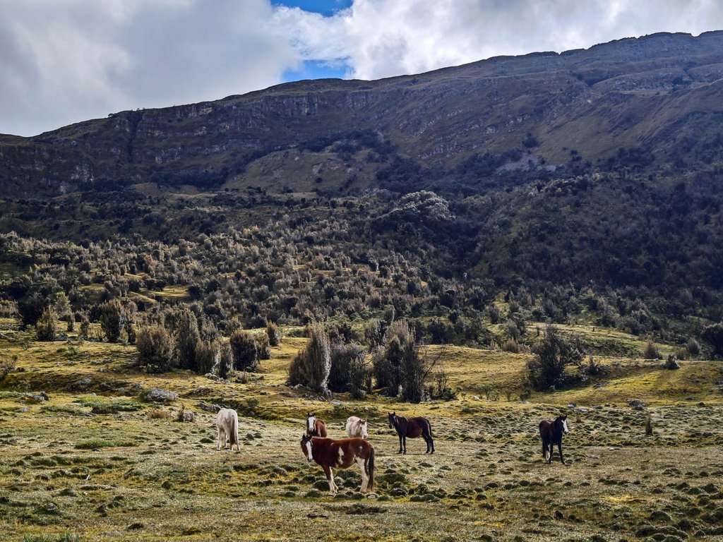 https://i.postimg.cc/SN1RLBSs/Image01080.jpg