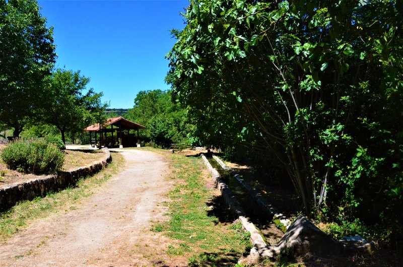 Madrid y sus pueblos-2000/2022 - Blogs of Spain - OLMEDA DE LAS FUENTES-5-6-2020 (70)