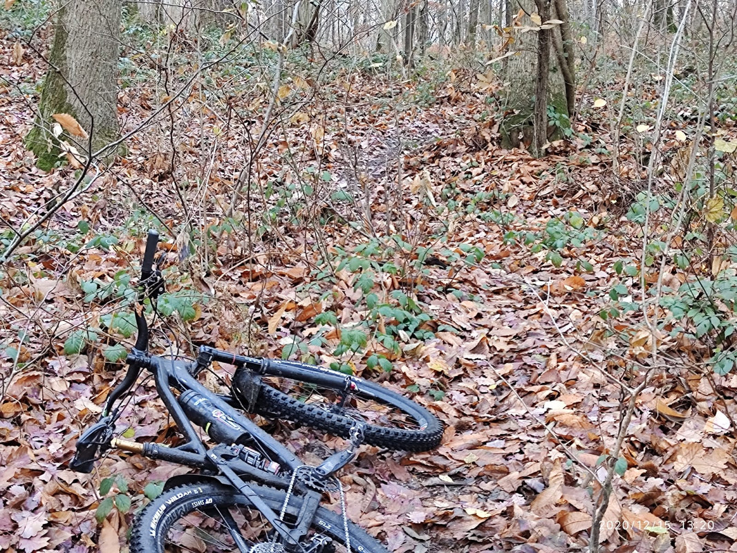 WhatsApp Image 2020-12-15 at 15.07.55