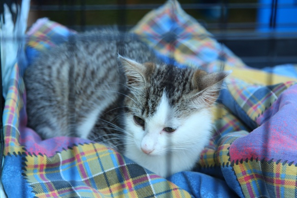 A9C503F9-3973-41BA-83C8-B2DC32A1BB32