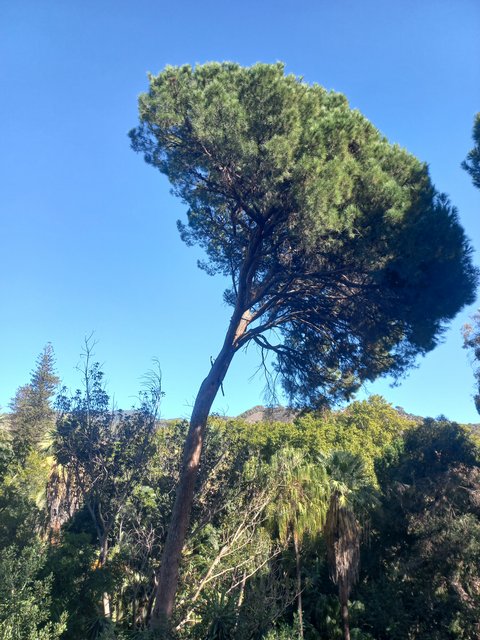 20231027-150947.jpg