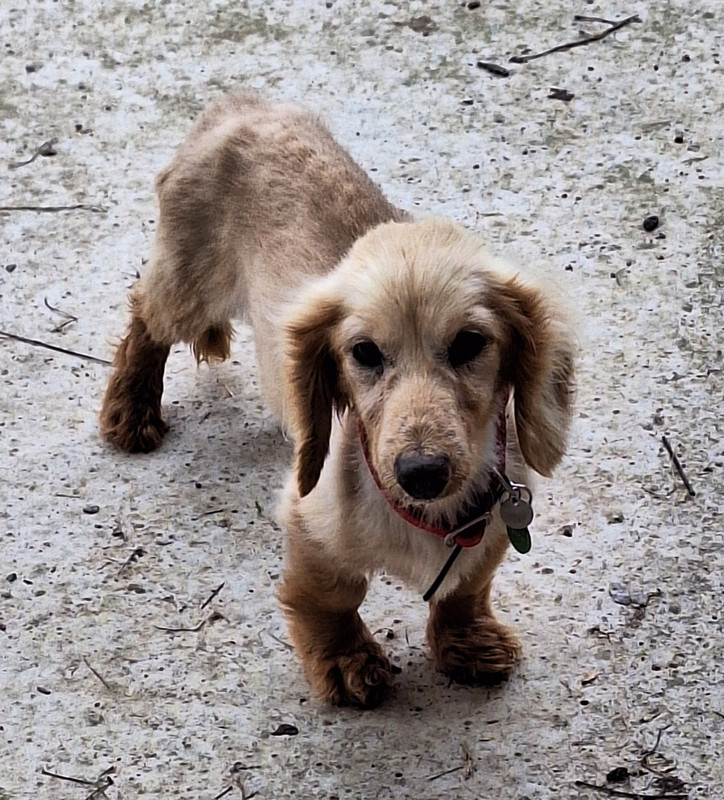 [Image: 20240415-115007.jpg]