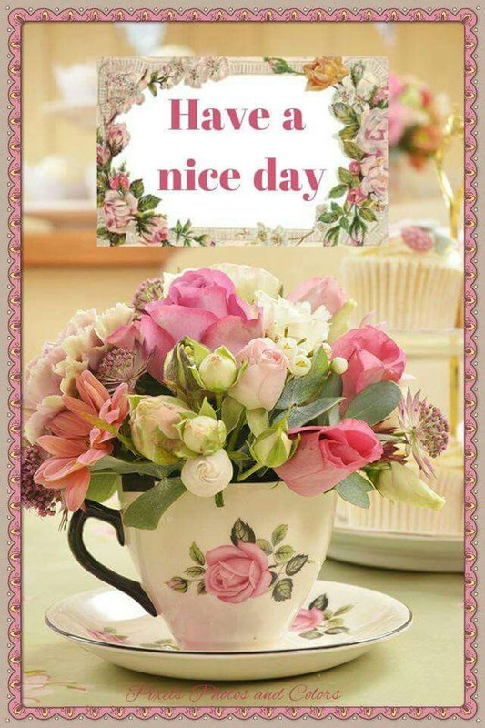 have-a-nice-day