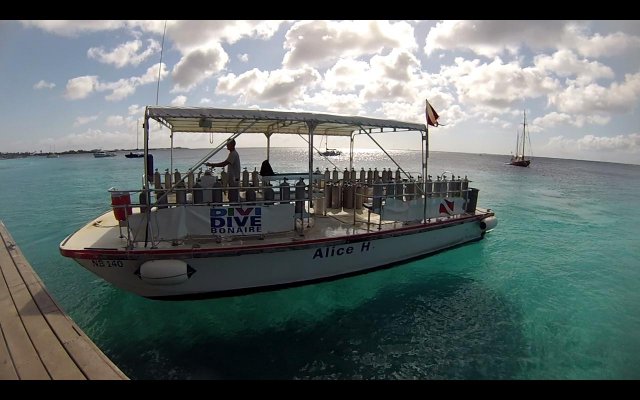 BONAIRE - Buceo+ Snorkel + Relax - Blogs de Caribe - Buceo en Calabas y The Lake. Snorkel. (1)