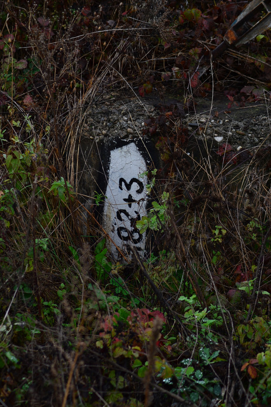 DSC_6508