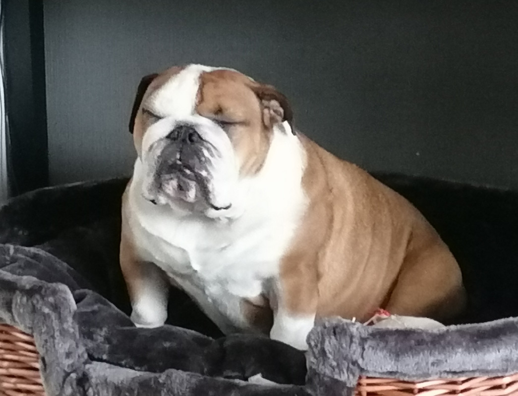 [Image: IMG-20200107-141800.jpg]