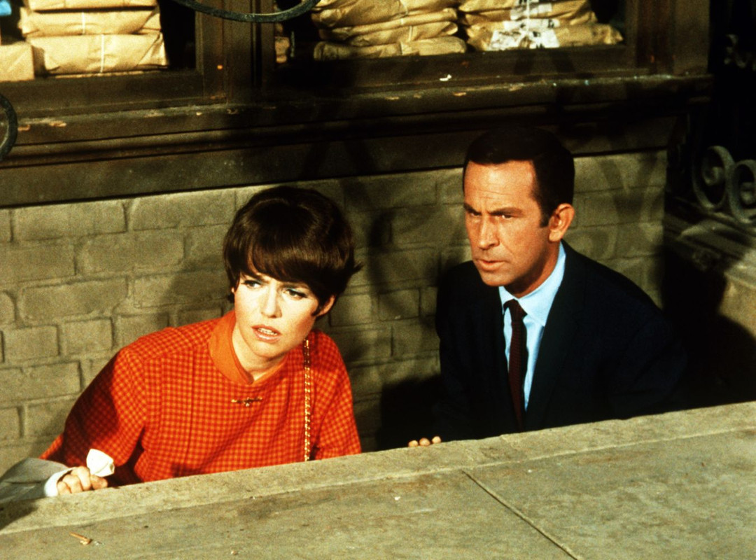 Barbara_Feldon_a89