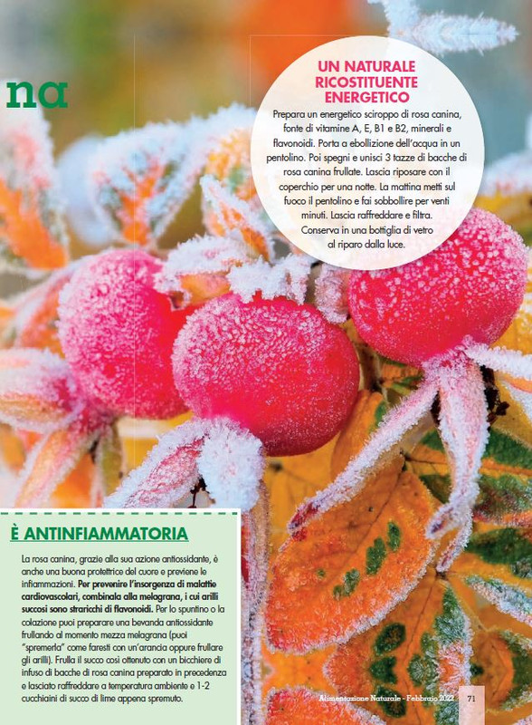 Alim Nat Feb 2022 (12)