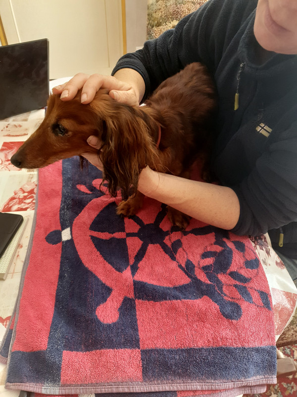 [Image: 20220505-145339.jpg]