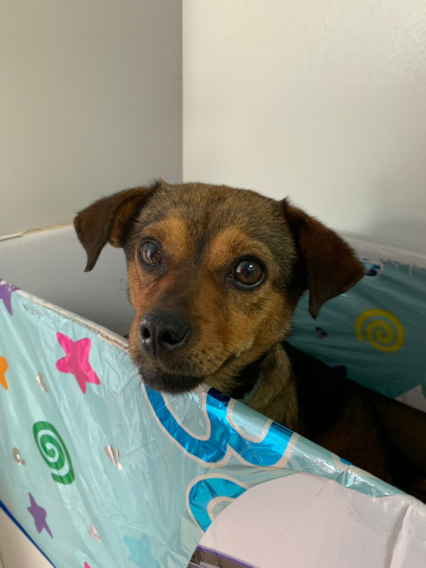 4F46FFDB-71E4-447A-8CEC-F0238B9B86B9