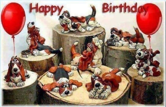 [Image: Anniversaire-chiens-(3).jpg]