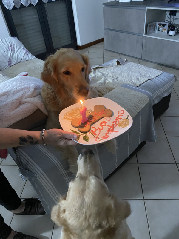 367DA975-4CF5-4040-8C95-57FB7D0C5CCC