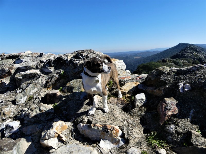 PARQUE NACIONAL DE MONFRAGÜE-2020/2023 - EXTREMADURA Y SUS PUEBLOS -2010-2023 (61)