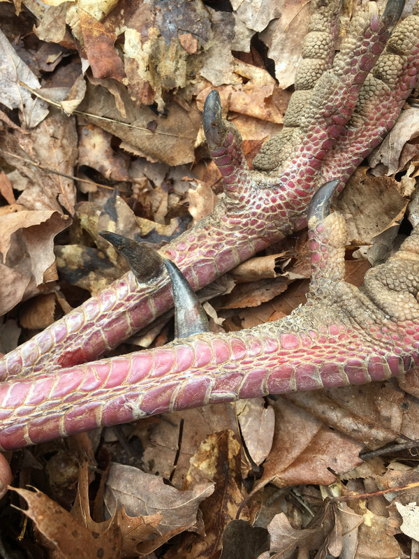 B6B3B9E2-105C-47C1-9DDC-E34579D9E18C