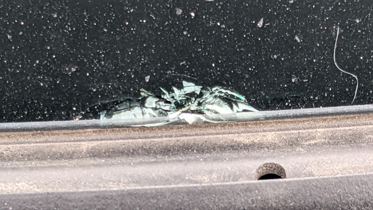 PXL_20230311_094214948