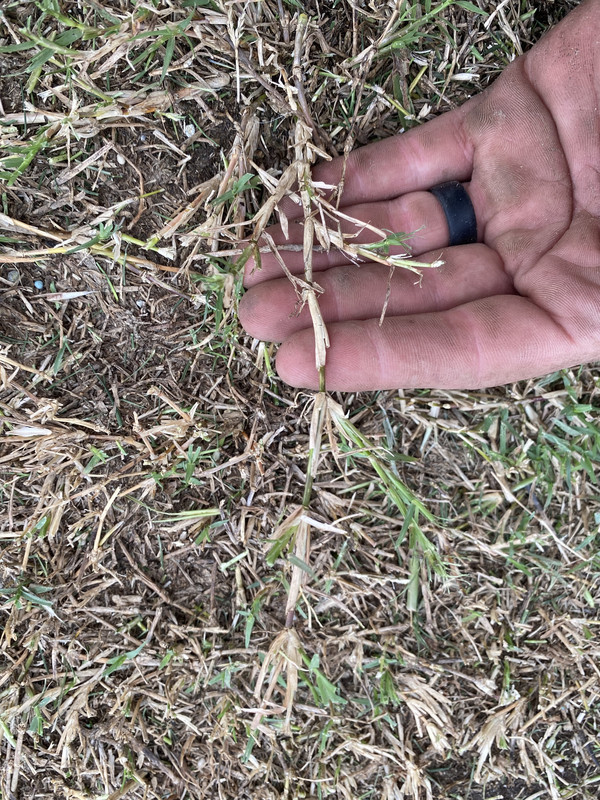 3472CBFE-9020-4575-8956-61134EB0E78D