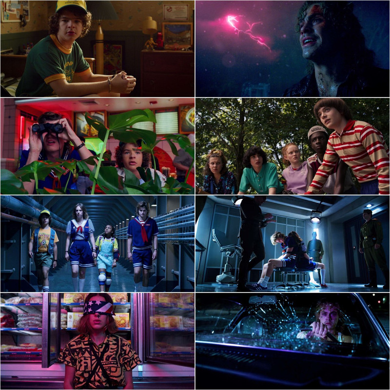 Stranger Things S3 (2019) Dual Audio [Hindi & English] Completed Web Series HD ESub screenshot