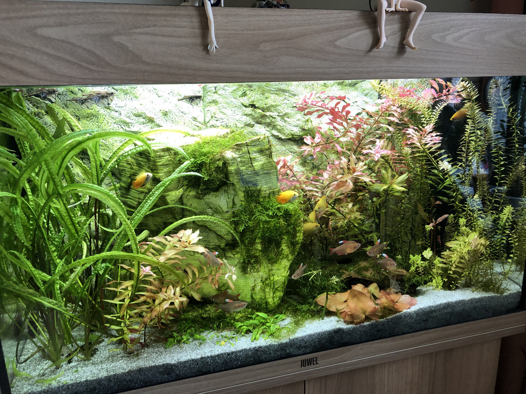 4BC4DB33-3B36-4865-9E79-1C599912B230