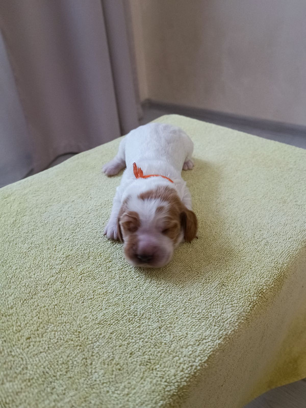 изображение_viber_2025-04-17_14-23-39-661